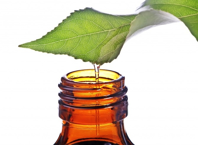 olio essenziale tea tree