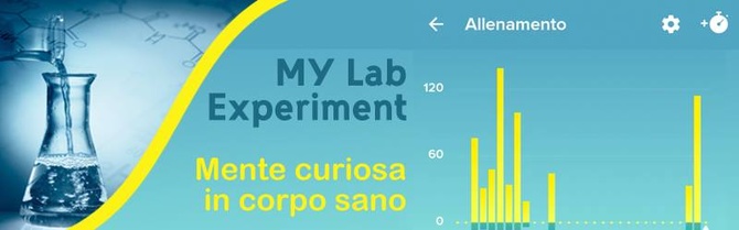 my lab experiment