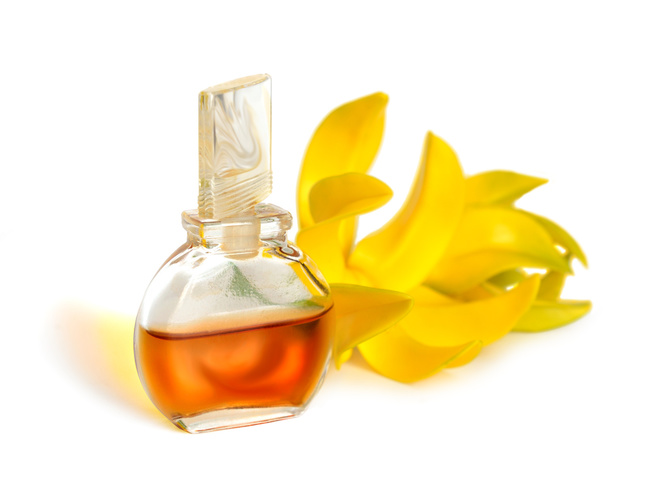 ylang ylang oil