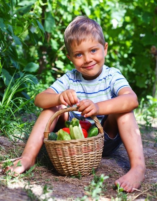 Funzione terapeutica del giardinaggio