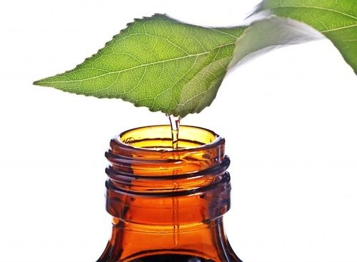 Tea tree essential oil