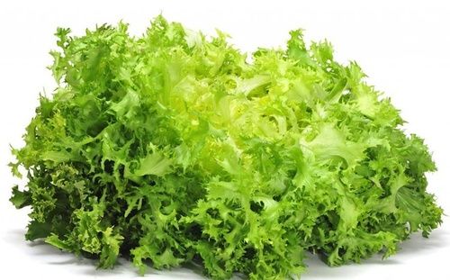 Risultati immagini per insalata ricciolina