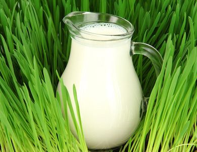 Latte, fonte di vitamina D
