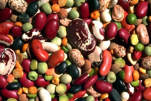 dieta alimentare contro il colesterolo alto