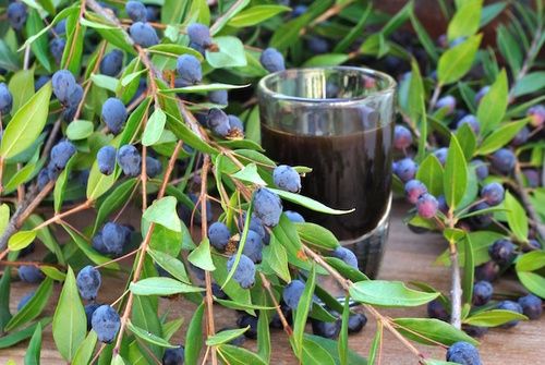 Mirto: proprietà, uso, controindicazioni - Cure-Naturali.it