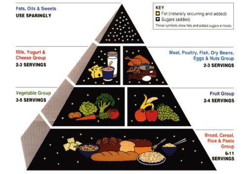 La conoscete la piramide alimentare? Forse la maggior parte di voi ris