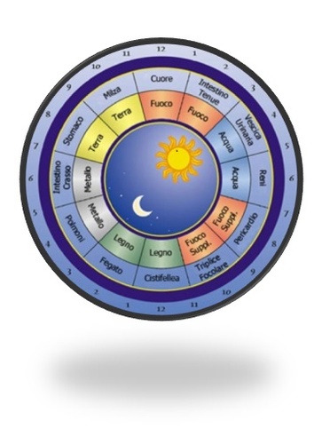I ritmi circadiani energetici