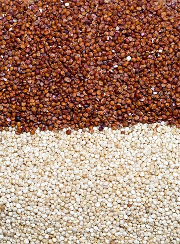 La quinoa