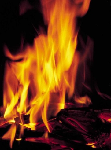 Intestino in fiamme? Domalo con gli antinfiammatori naturali