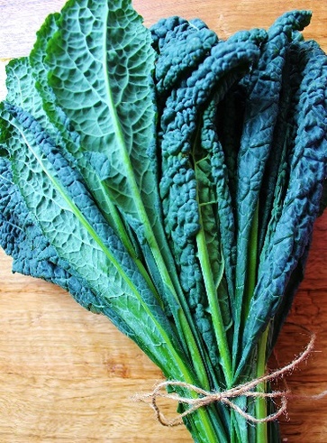 Cavolo nero