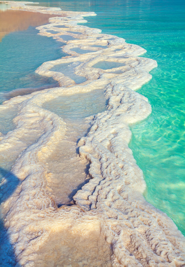 La ricchezza nutriente del Mar Morto