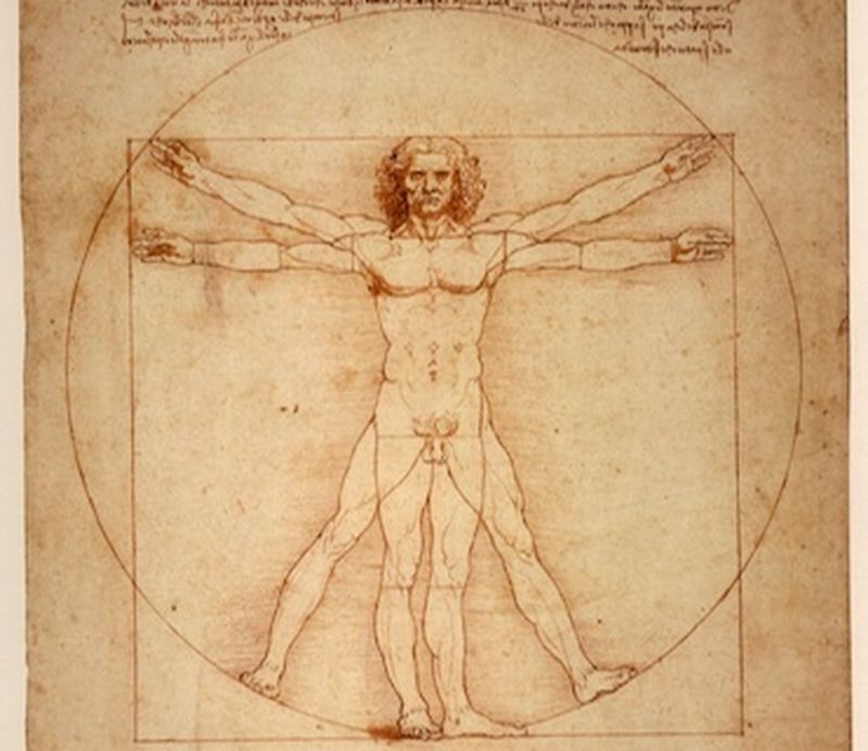 L'anatomia umana secondo Leonardo 