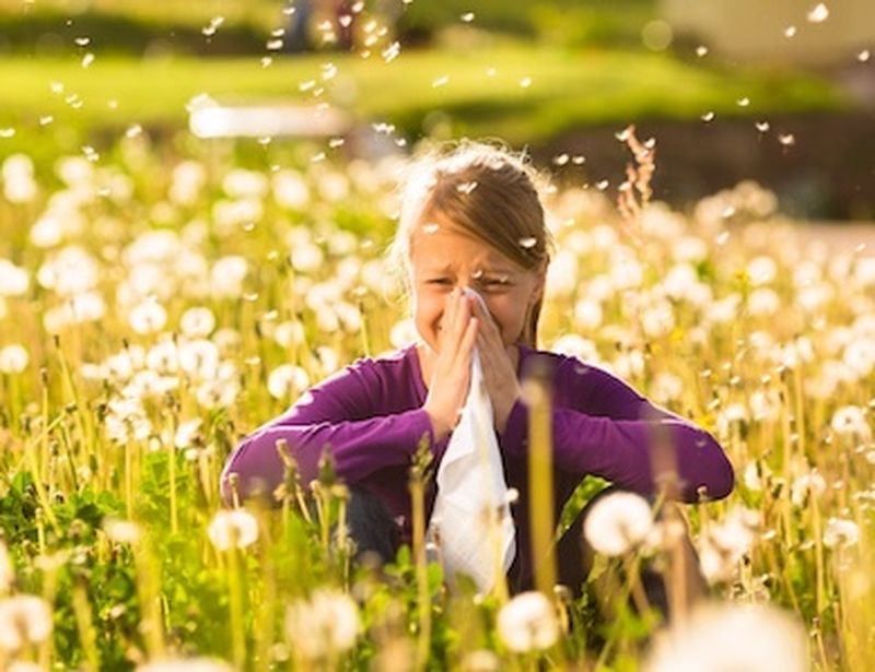Allergie di stagione: curiamoci con la Naturopatia