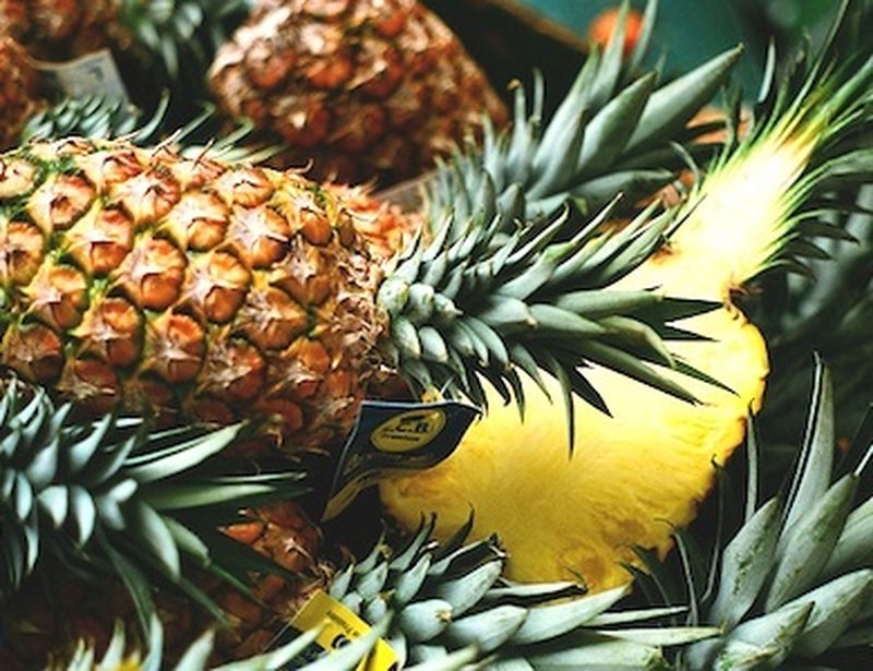 Il Gambo d’ananas che aiuta la digestione Il Gambo d’ananas che aiuta la digestione