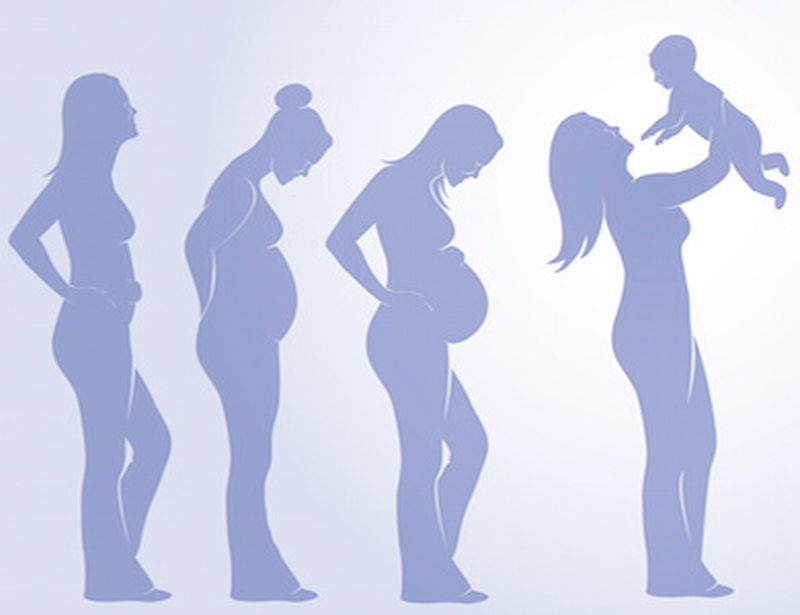Le fasi della gravidanza