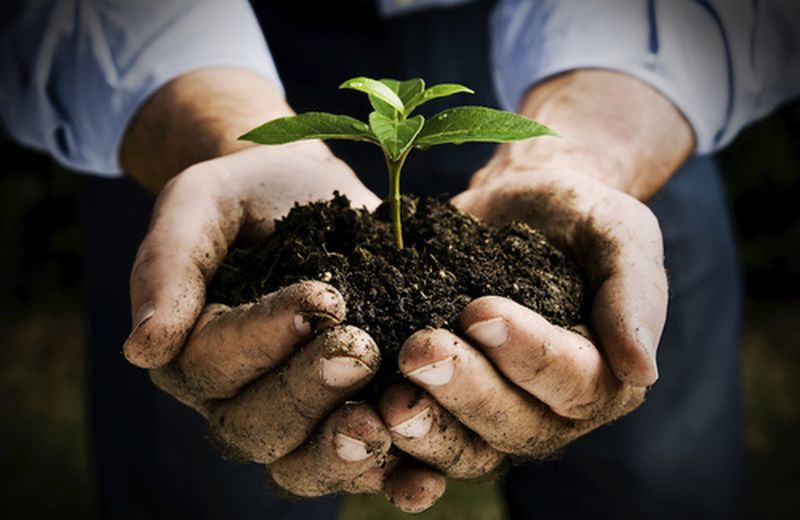 L’orto biodinamico L’orto biodinamico
