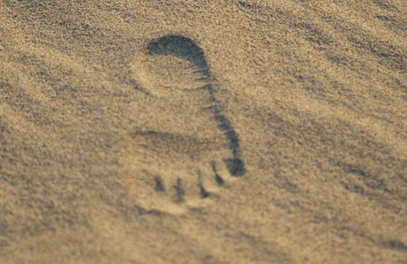 Il barefooting o, più semplicemente, camminare a piedi scalzi Il barefooting o, più semplicemente, camminare a piedi scalzi