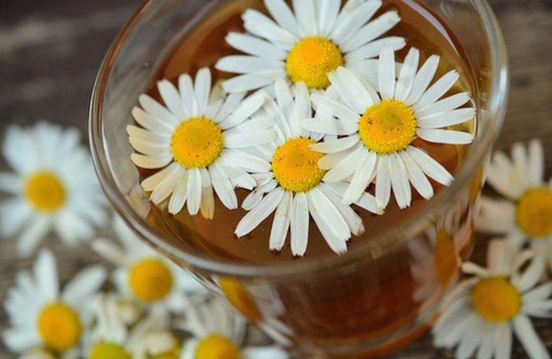 How to lighten hair with chamomile