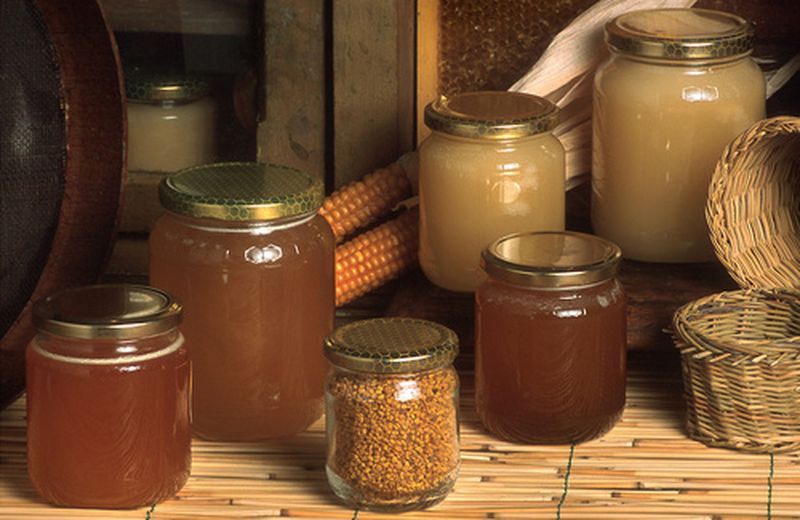 Miele di eucalipto, proprietà e usi in cucina