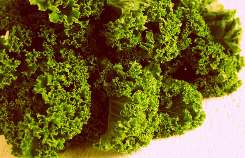 Kale, cavolo nero o riccio: supernatural e superfood