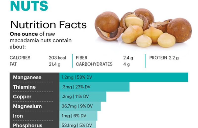 Noci Macadamia: il cibo ricco di manganese che supporta la salute delle  ossa 