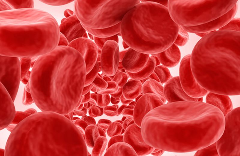 Quanti litri di sangue ci sono nel corpo umano?