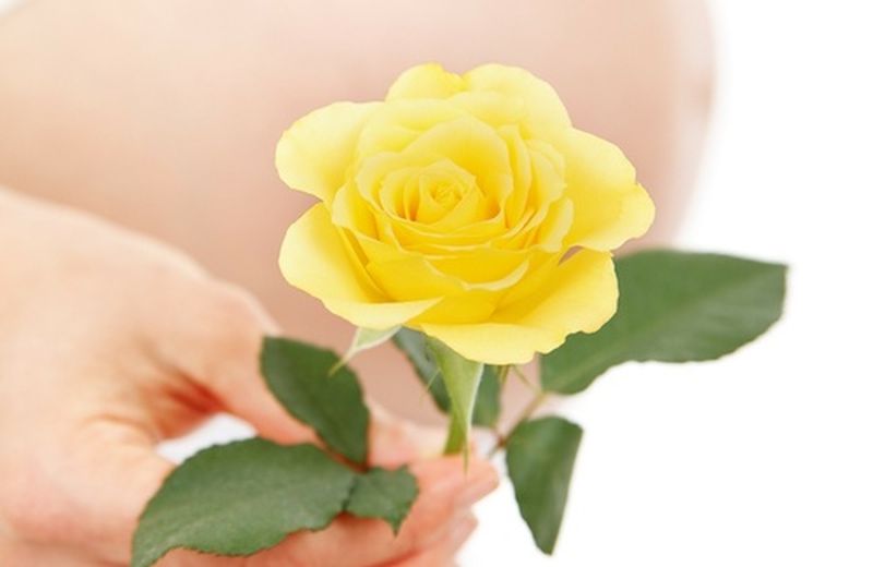 Cosmetici naturali da usare in gravidanza
