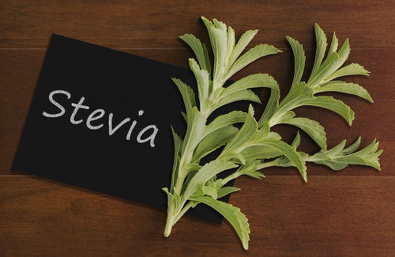 La Stevia è davvero cancerogena?