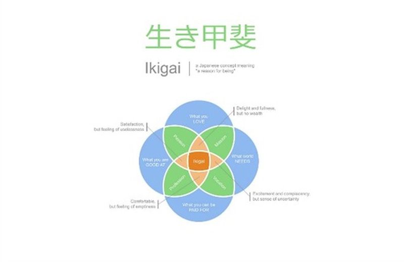 Ikigai, qualcosa per cui vivere Ikigai, qualcosa per cui vivere
