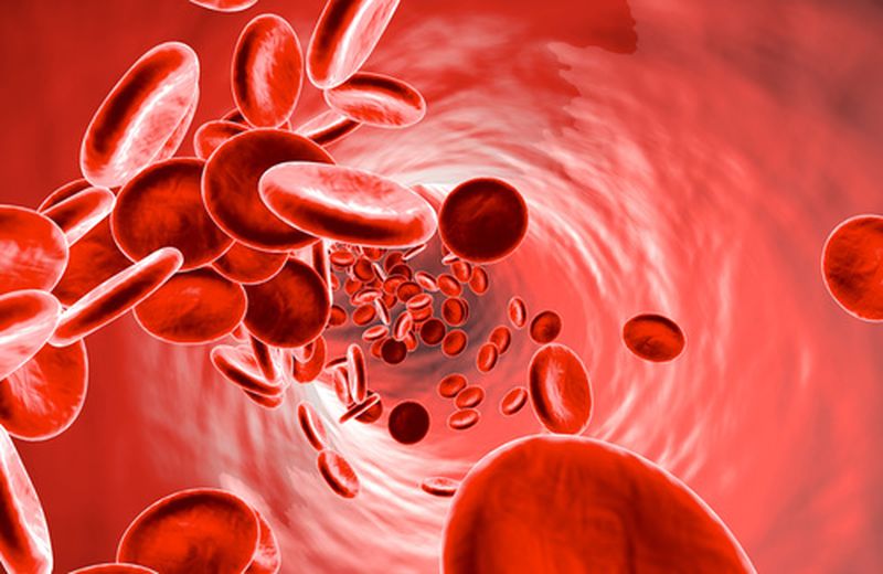 Anemia, i tipi principali 