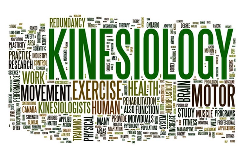 Kinesiologia: i benefici del Touch for Health