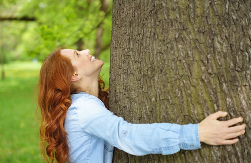Cos'è il Forest Bathing Cos'è il Forest Bathing