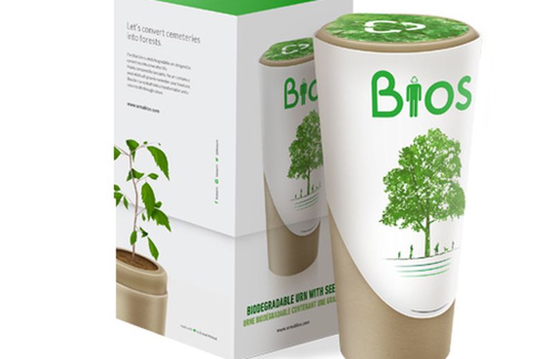 Urna Bios: la prima urna biodegradabile