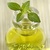 Olio essenziale di basilico